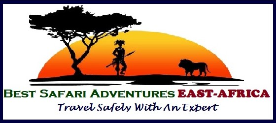 Best Safari Adventures East-Africa