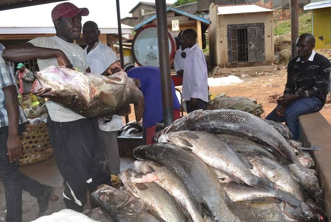 Community Impact along the Nile