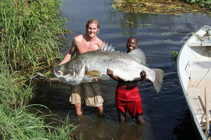 Nile Perch Fishing