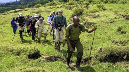 Gorilla Trekking Safari Uganda