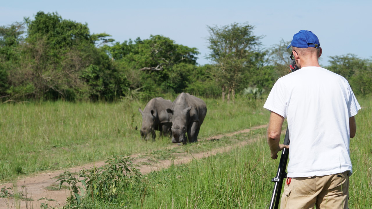 White Rhino at Ziwa Rhino Sanctuary Uganda