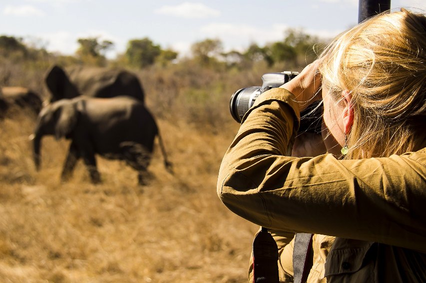 Safari Tourism in East Africa