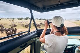 East Africa Grand Migration Safari