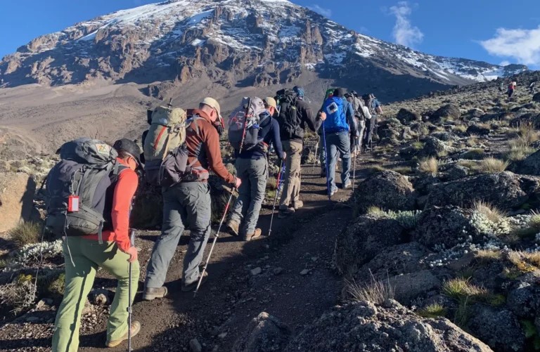 Mount Rwenzori Hiking Safari