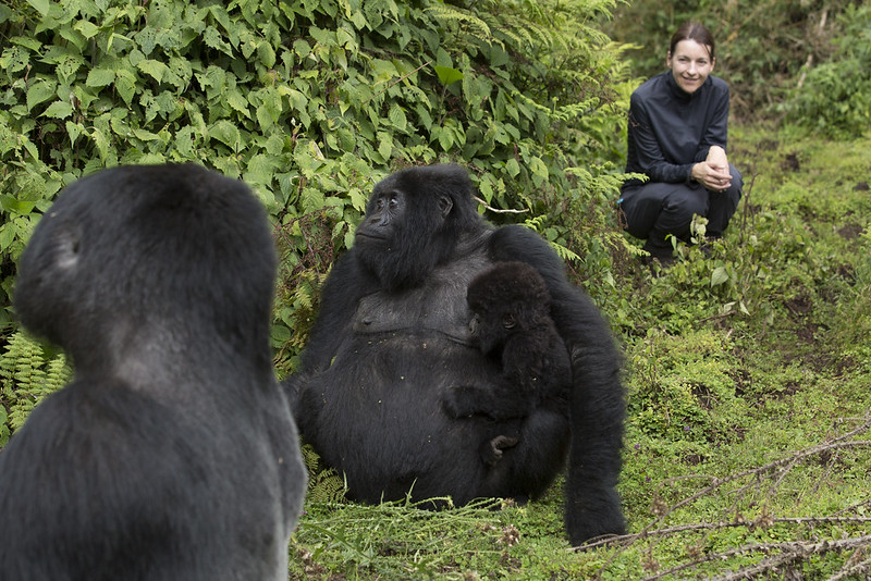 Gorilla Trekking Safari Uganda