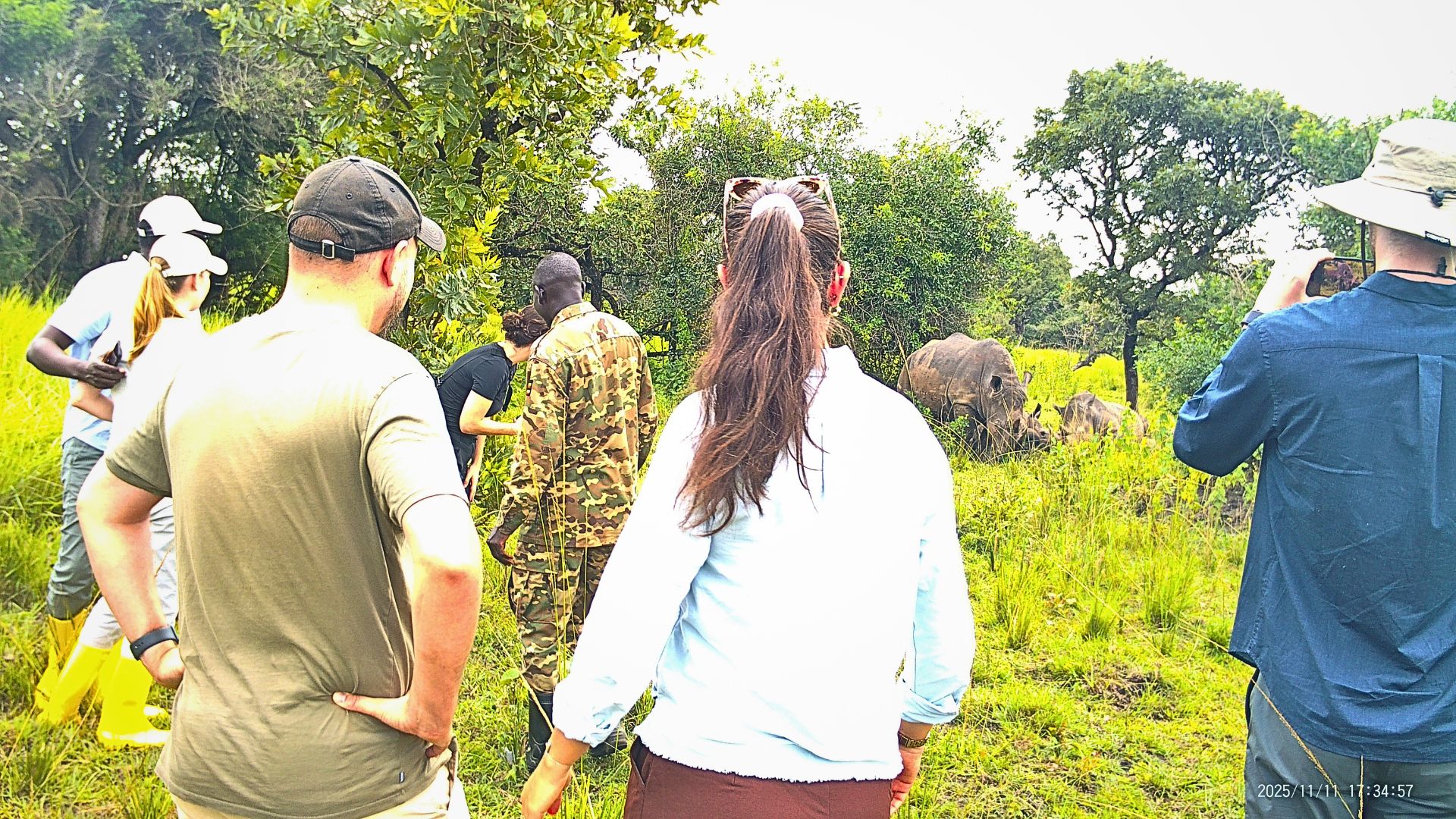Close Encounter White Rhino